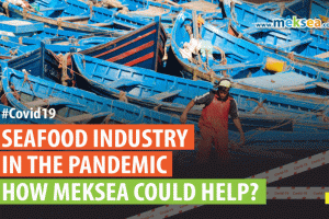 Seafood industry in the pandemic - how mekong could help-2