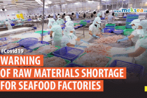 warning of raw materials shortage for seafood factories