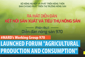 Mards working group 970 launched forum agricultural production and consumption