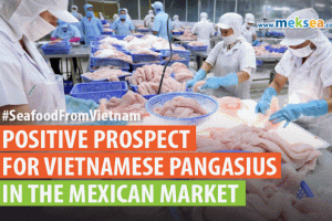 Positive prospect for Vietnamese pangasius in the Mexican market