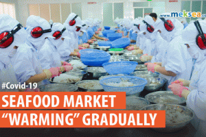 Seafood market “warming” gradually