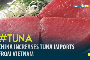China Increase Tuna Imports from Vietnam-02