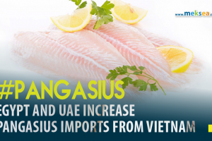 Egypt and UAE increase pangasius exports from Vietnam-02