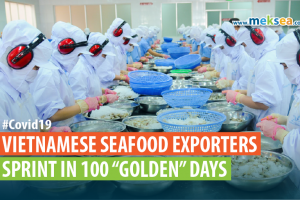 VIETNAMESE SEAFOOD EXPORTERS SPRINT IN 100 “GOLDEN” DAYS vr1-05