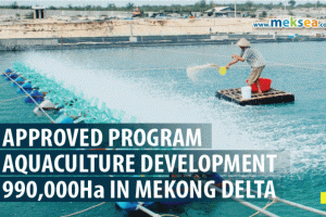 Vietnam approved program aquaculture development 990,000ha in Mekong Delta