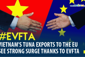 Vietnam's tuna exports to the EU see strong surge thanks to EVFTA