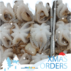 XMAS Orders 2022-Baby Octopus
