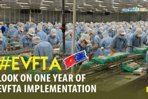 Look on one year on EVFTA implementation
