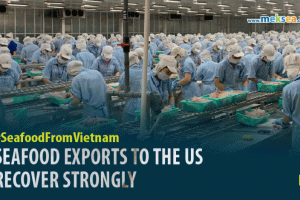 SEAFOOD EXPORTS TO THE US RECOVER STRONGLY
