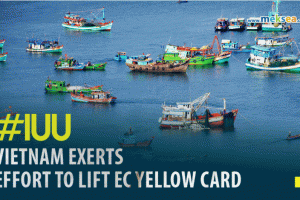VIETNAM EXERTS EFFORT TO LIFT EC YELLOW CARD