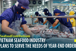 VIETNAM SEAFOOD INDUSTRY PLAN TO SERVE THE NEEDS OF END-YEAR - final