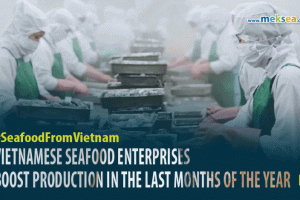 VIETNAMESE SEAFOOD ENTERPRISES BOOST PRODUCTION IN THE LAST MONTHS OF THE YEAR