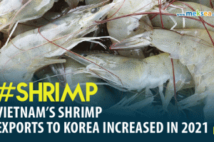 Vietnam shrimp exports to Korea increased in 2021