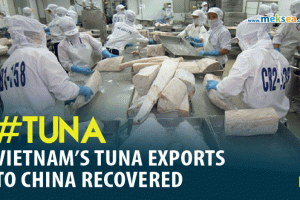 Vietnam tuna exports to china recovered
