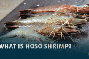 what is HOSO shrimp