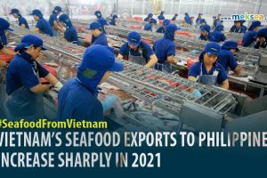 Vietnam's seafood exports to philippines increase sharply in 2021
