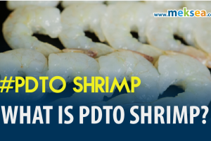 What is PDTO Shrimp?