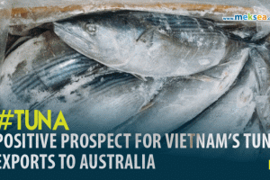 Positive prospect for Vietnam’s tuna exports to Australia