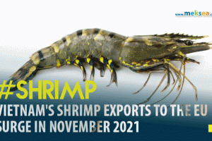 Vietnam's shrimp exports to the EU surge in November 2021