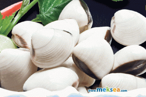 Vietnam’s bivalve mollusks exports to EU in 2021