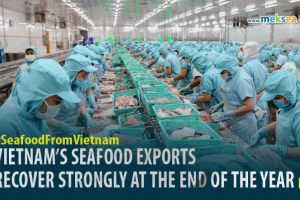 Vietnam’s seafood exports recover strongly at the end of the year