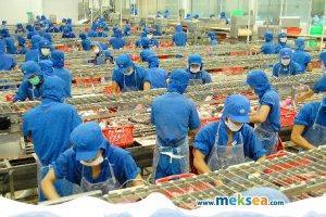 Vietnam’s seafood exports recovered in November, 2021