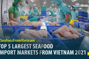 Top 5 largest seafood import markets from Vietnam