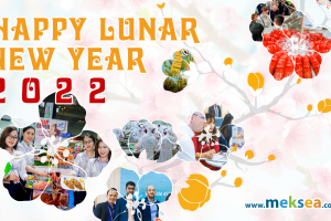 Happy Lunar New Year from Meksea-300 (2)