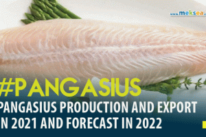 Pangasius production and export in 2021 and forecast in 2022