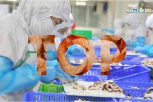 Top 6 Vietnam’s seafood exports to the EU market