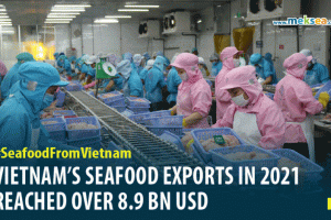 Vietnam's seafood exports reach over 8.9 billion usd in 2021
