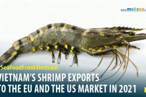 vietnam's shrimp export to the EU and the US in 2021
