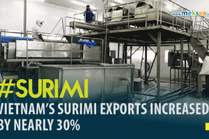 VIETNAM’S SURIMI EXPORTS INCREASED BY NEARLY 30%