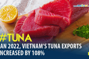 IN JANUARY 2022, VIETNAM’S TUNA EXPORTS INCREASED BY 108%
