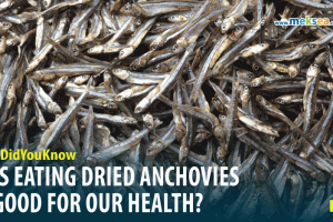 IS EATING DRIED ANCHOVIES GOOD FOR OUR HEALTH
