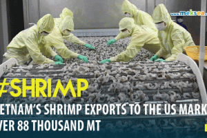 In 2021, Vietnam’s shrimp exports to the US market over 88 thousand MT