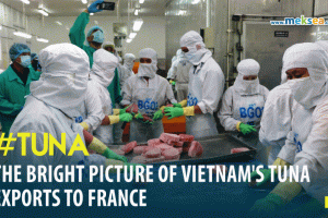 THE BRIGHT PICTURE OF VIETNAM'S TUNA EXPORTS TO FRANCE