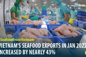 VIETNAM'S SEAFOOD EXPORTS IN JANUARY 2022 INCREASED BY NEARLY 43%