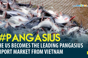 The US becomes the leading pangasius import market from Vietnam-40