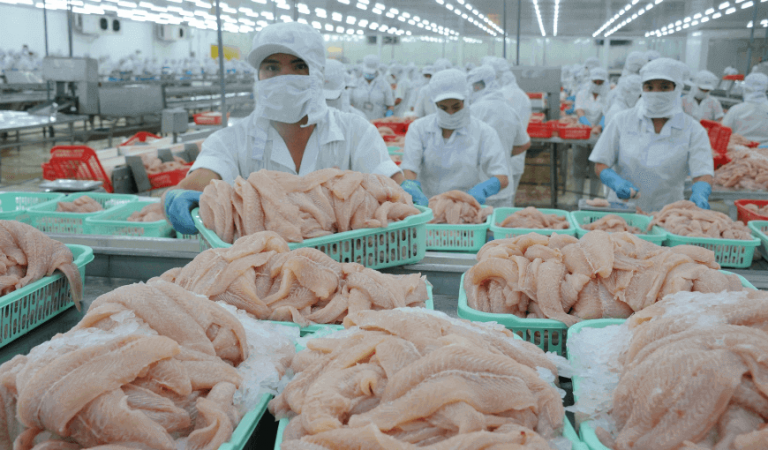 The US becomes the leading pangasius import market from Vietnam ...