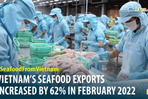 Vietnam's seafood exports increased by 62% Feb 2022