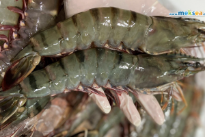 Vietnam's shrimp exports are forecast to increase by 40% in the late March 2022