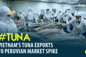 Vietnam's tuna exports to Peruvian market spike