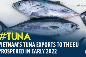 Vietnam's tuna exports to the EU prospered in early 2022