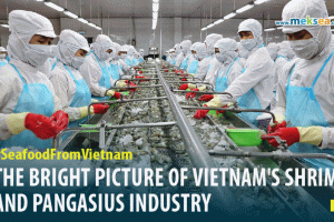 THE BRIGHT PICTURE OF VIETNAM'S SHRIMP AND PANGASIUS INDUSTRY