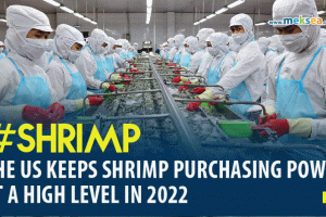 The Us keeps shrimp purchasing power at a high level in 2022