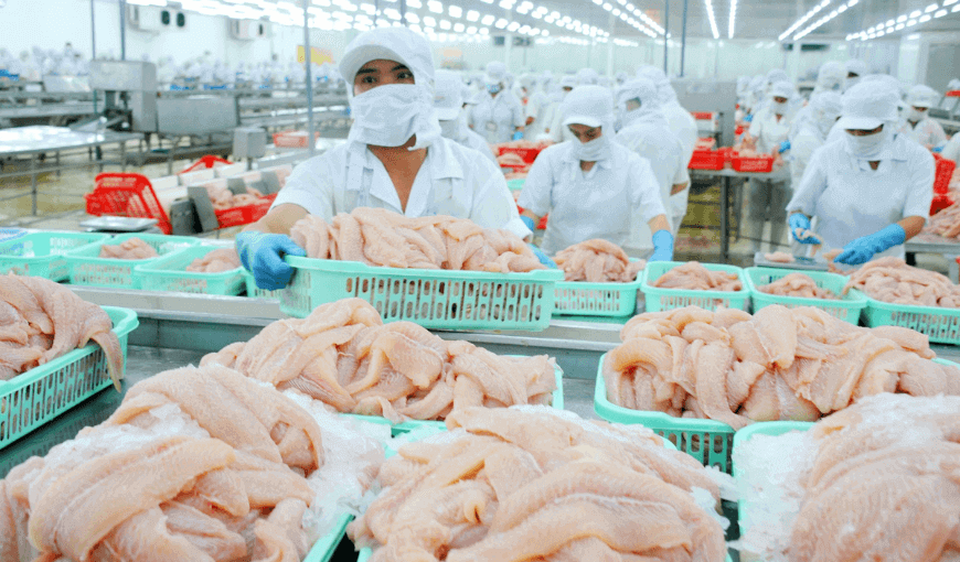 Vietnam’s pangasius exports increased by nearly 90% in the first ...