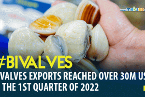 Vietnam’s bivalves exports reached over 30 million usd in the first quarter of 2022