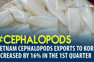 Vietnam squid and octopus exports to Korea increased by 16% in the first four months of 2022
