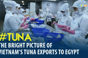 The bright picture of Vietnam’s tuna exports to Egypt